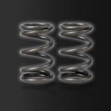 SR1 Clutch Spring