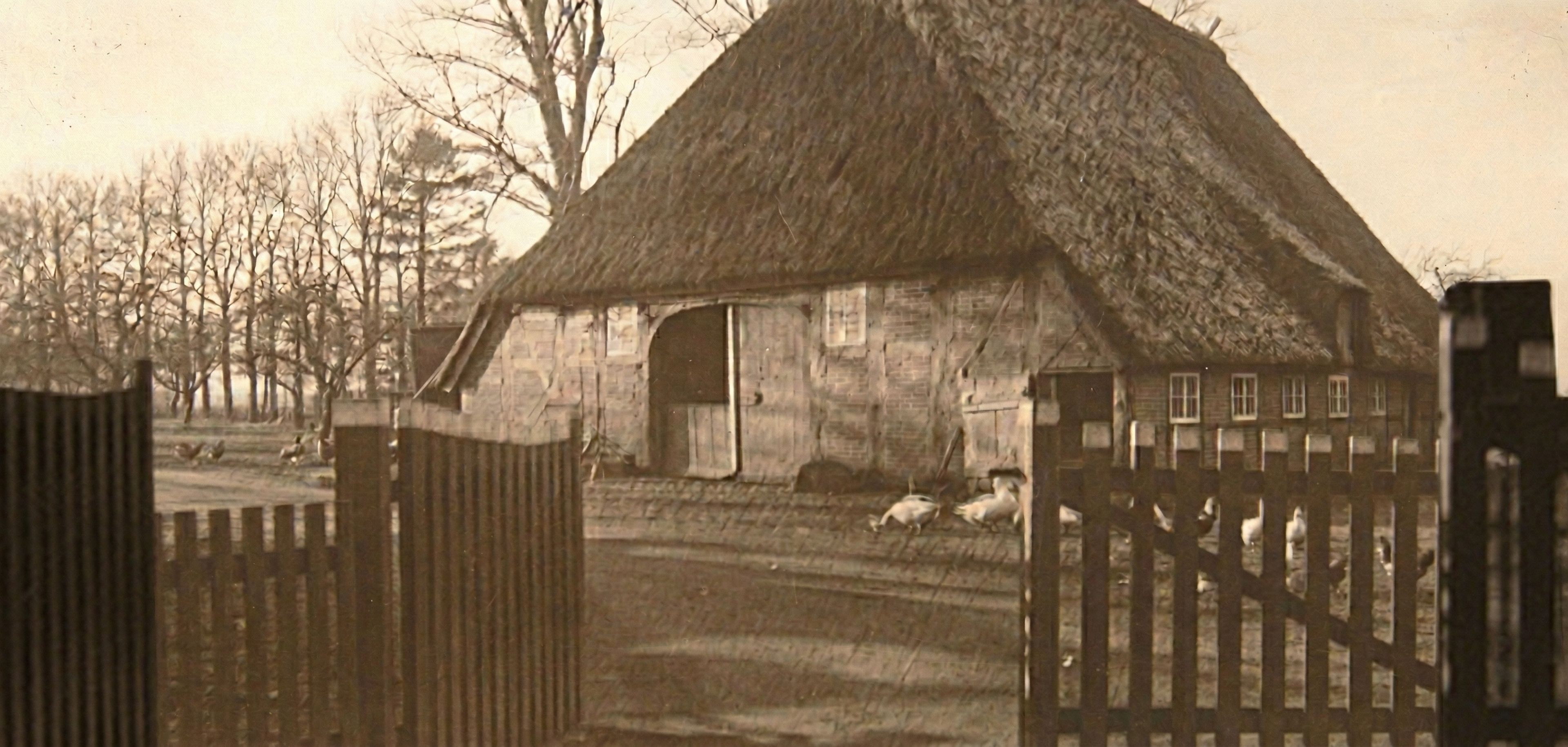Backsteinmauer mit blauer Tür, Pflanzen im Vorgarten und Pflasterweg