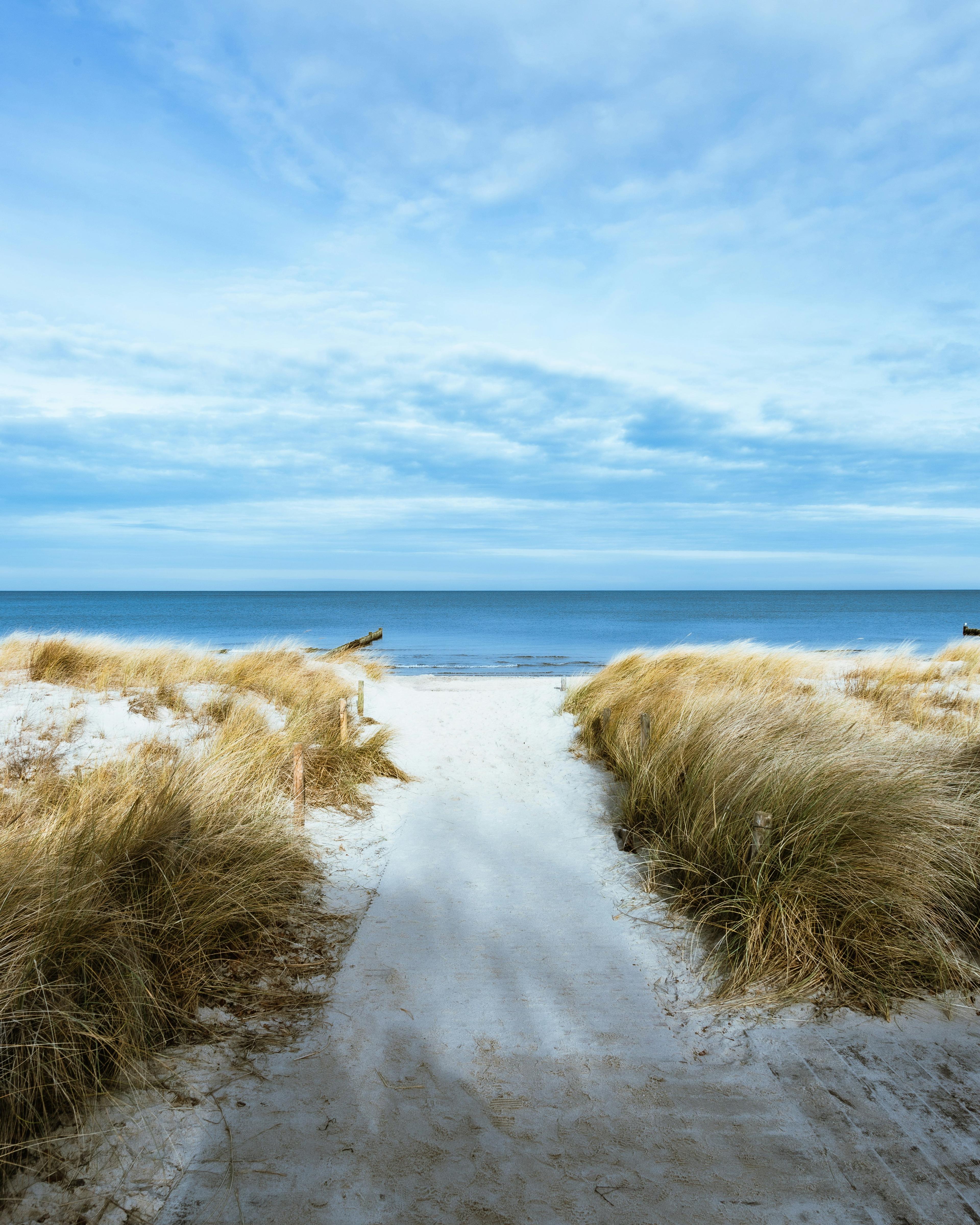 Sandpfad durch Dünen führt zu einem stillen Meer unter bewölktem Himmel.