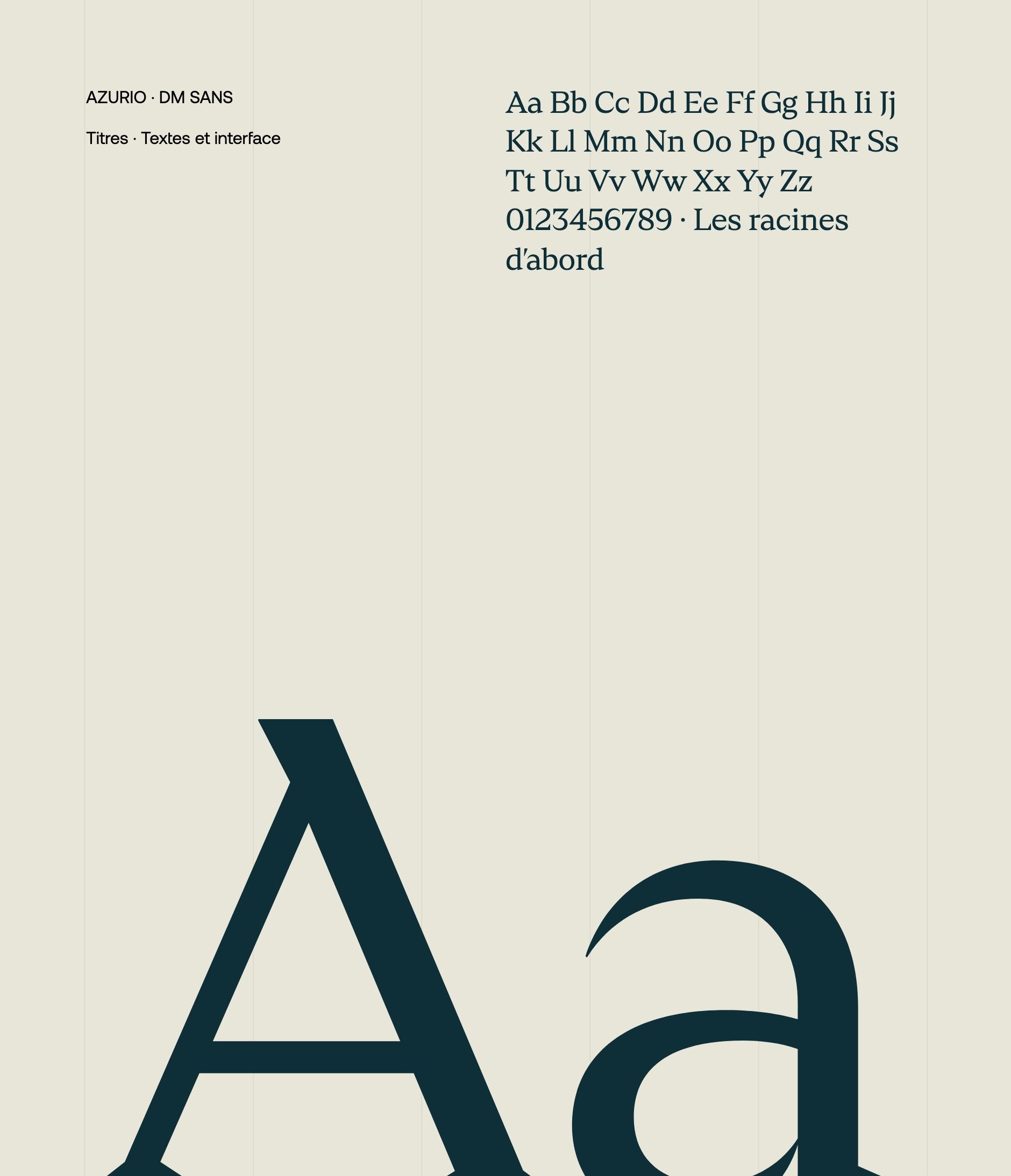 Azurio and DM Sans, Sedra Capital's typefaces: a large petrol blue “Aa”