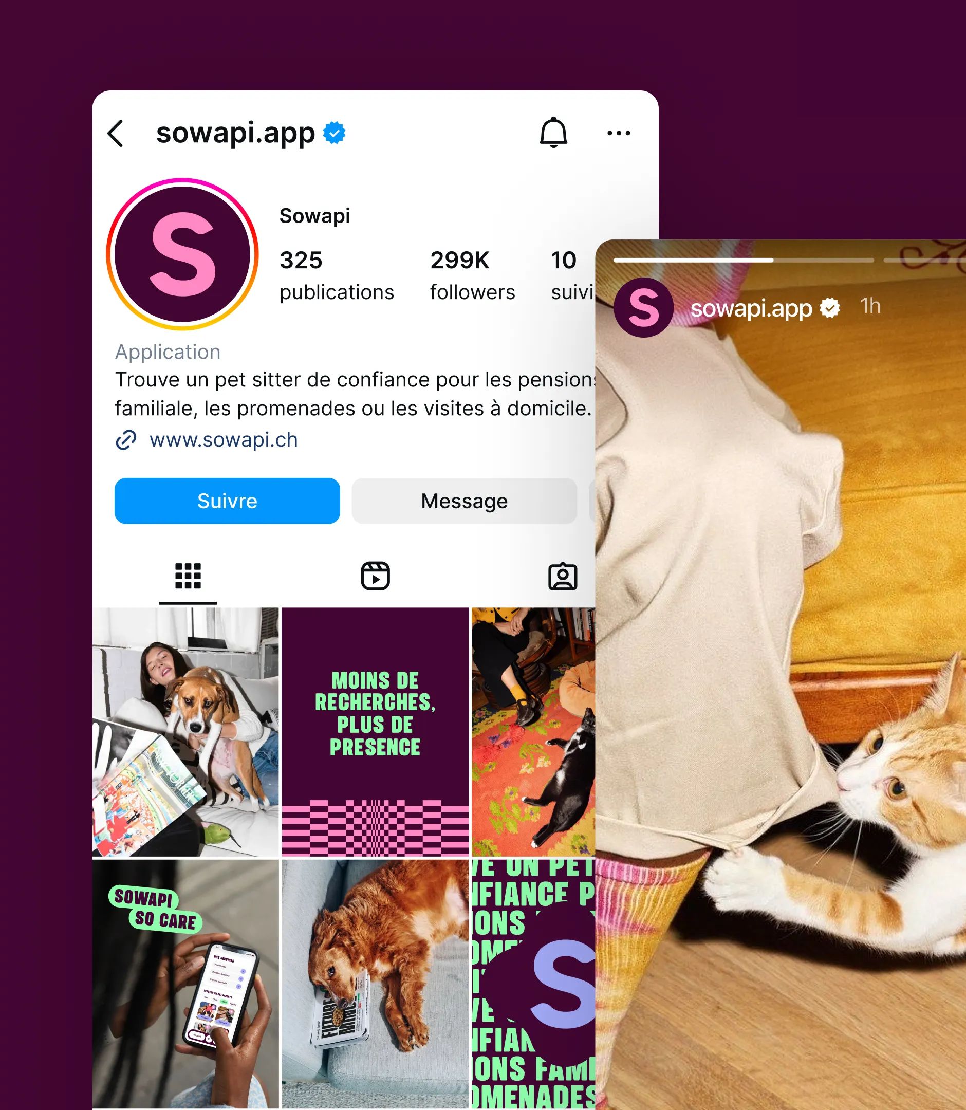 Sowapi Instagram profile with a grid of brand-colored posts and a story showing a cat
