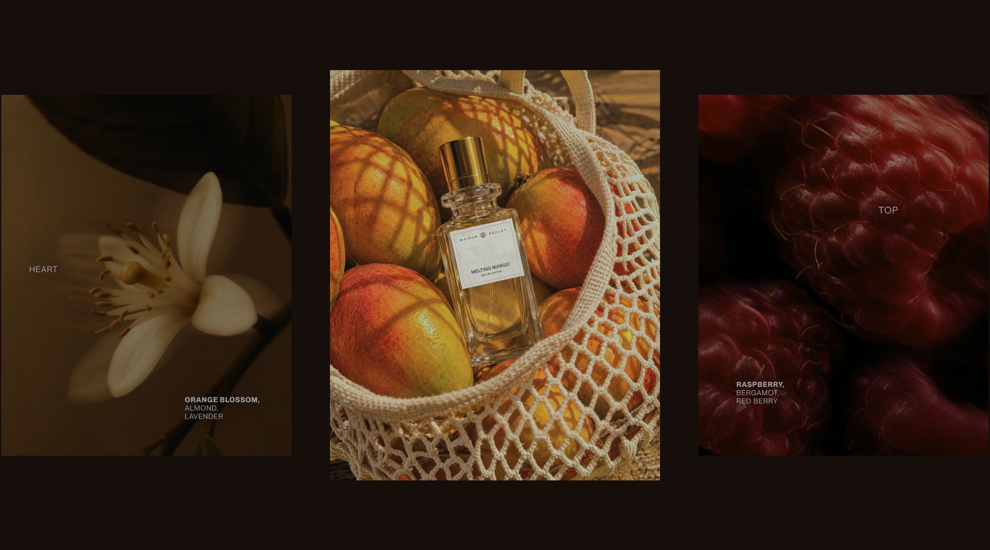 The photographs of the six Reflets scrolling by: bottles, fruit, flowers, spices and materials