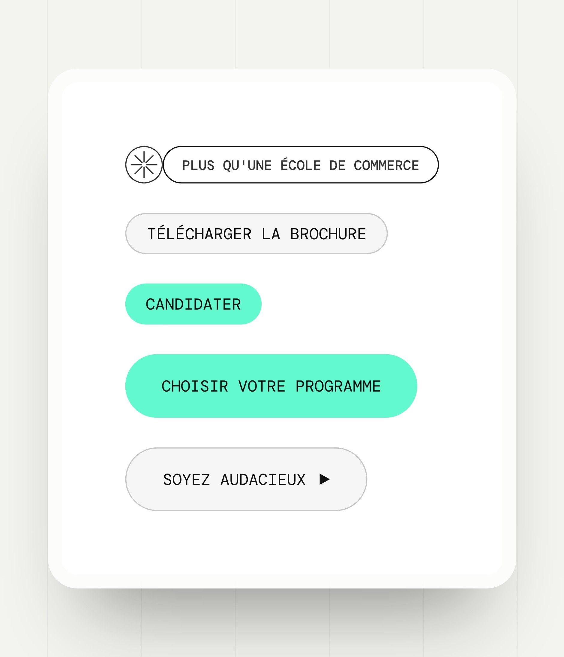 Site label and buttons: “More than a business school”, Download the brochure, Apply, Choose your programme