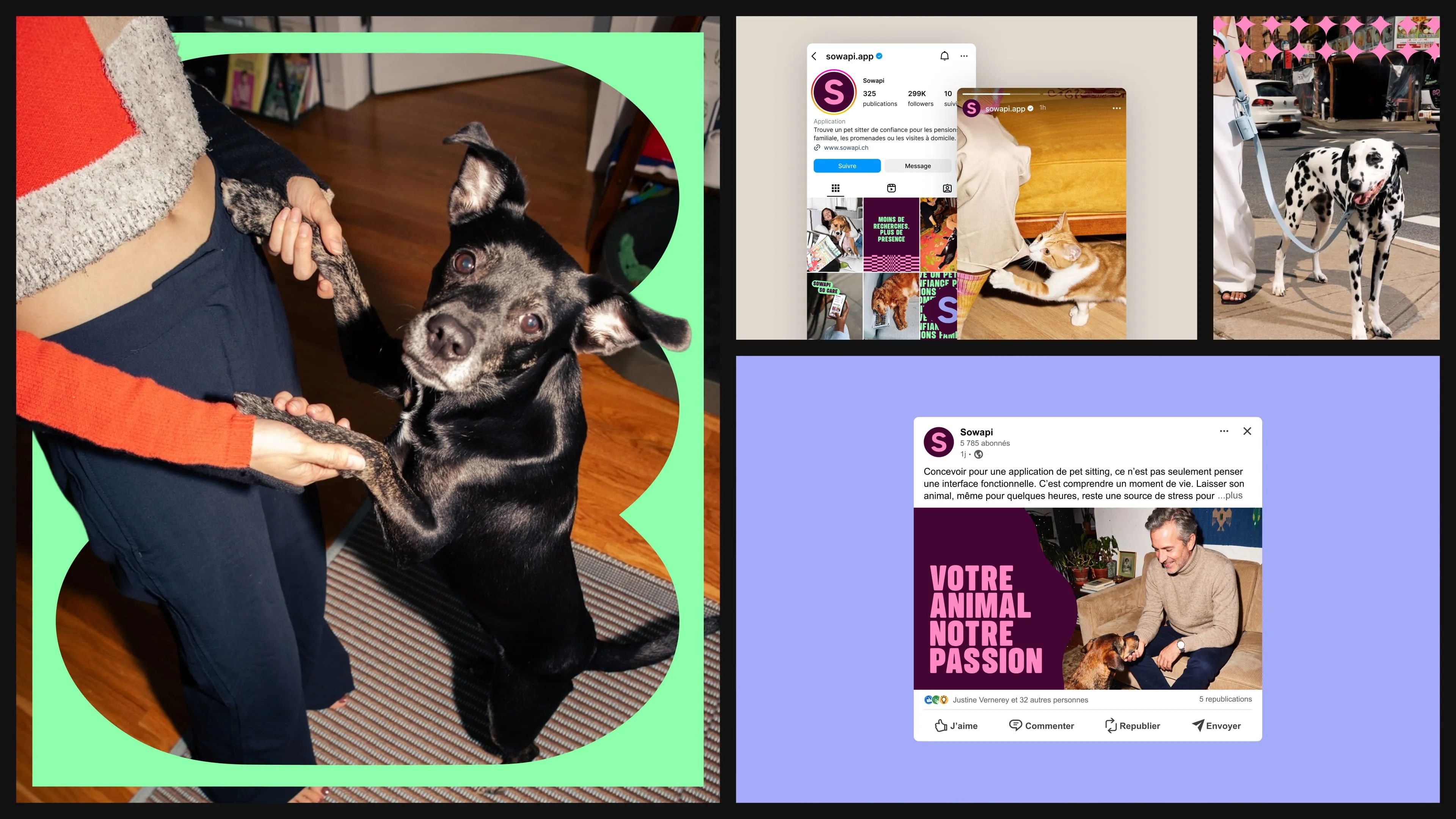 Sowapi branding: dog photos, Instagram profile and LinkedIn post reading “Votre animal notre passion”