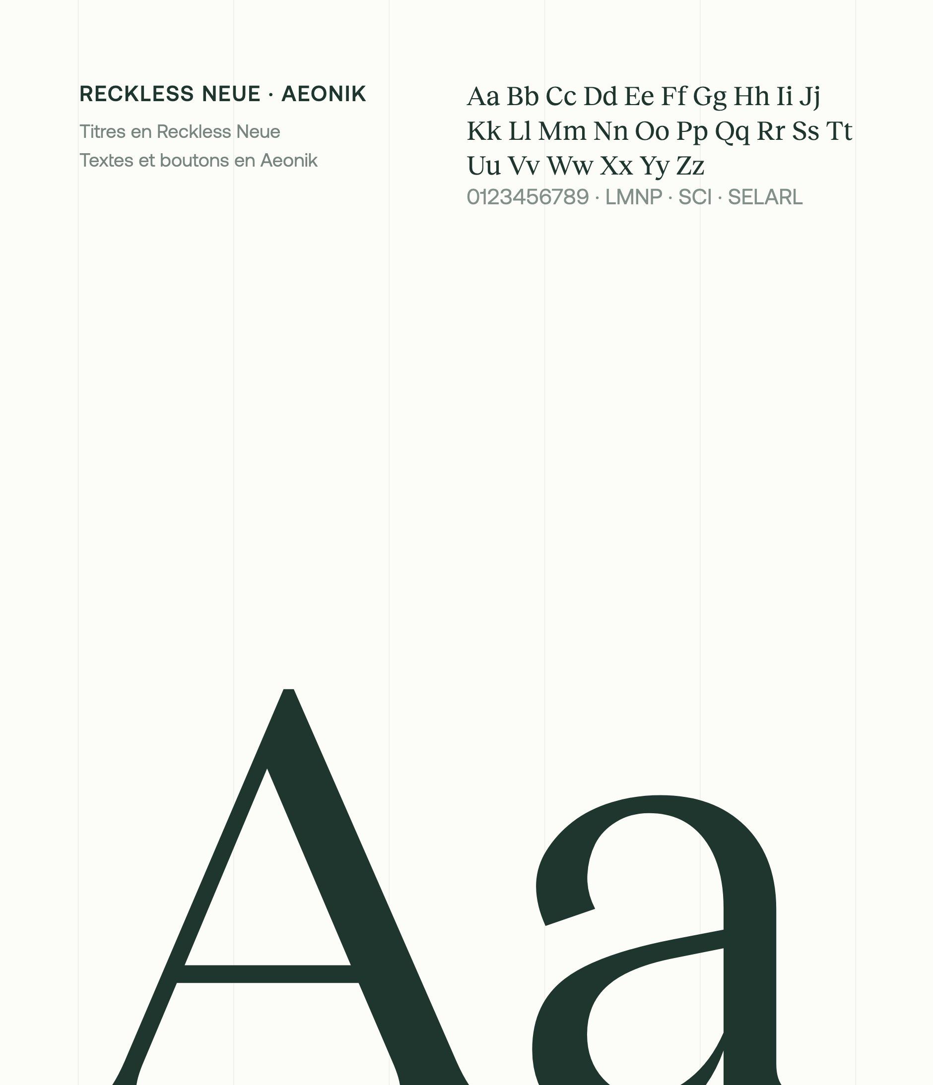 Reckless Neue and Aeonik, Expatrim's typefaces: a large deep green “Aa”