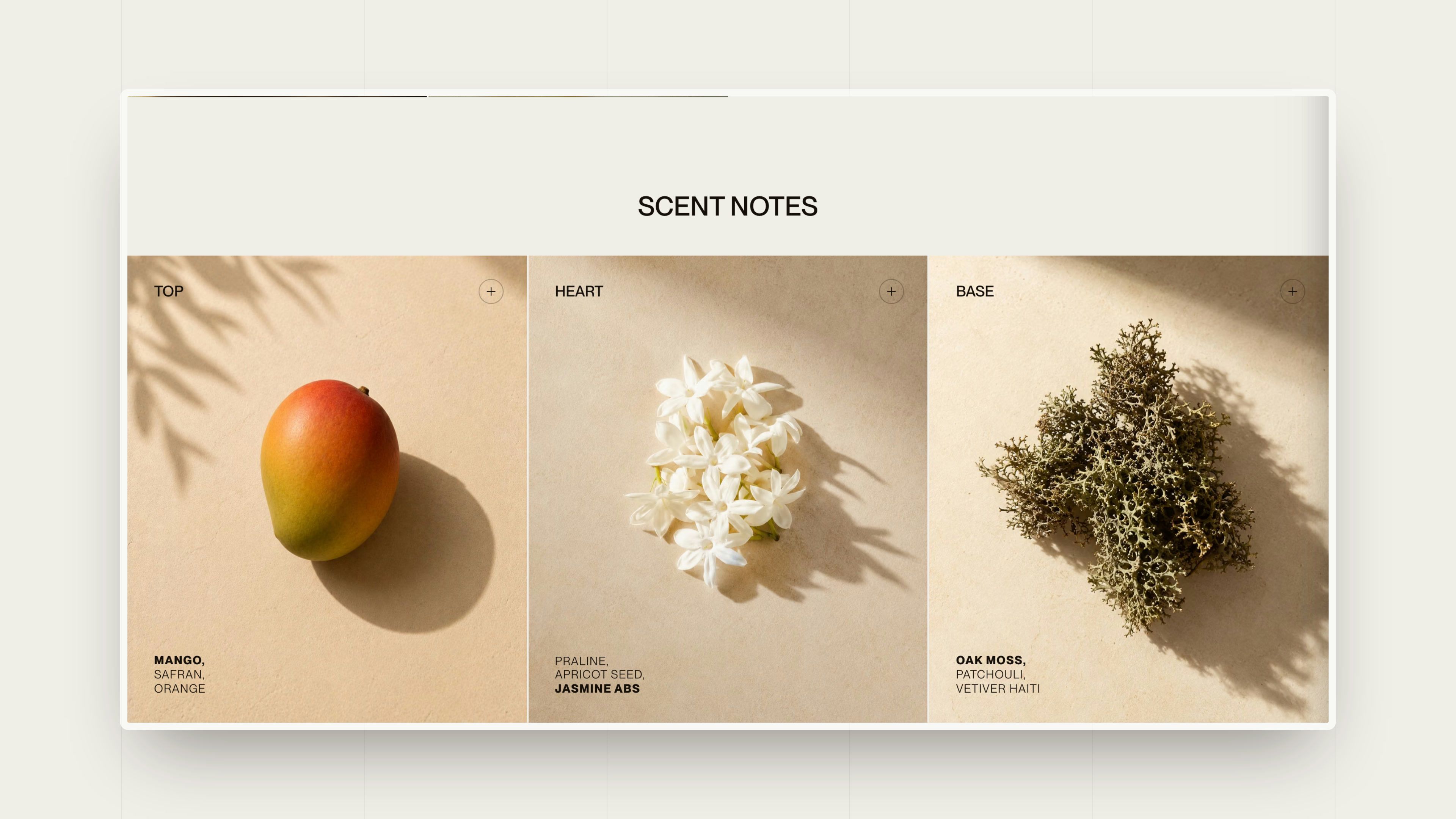 Top, heart and base notes in images on the Melting Mango product page