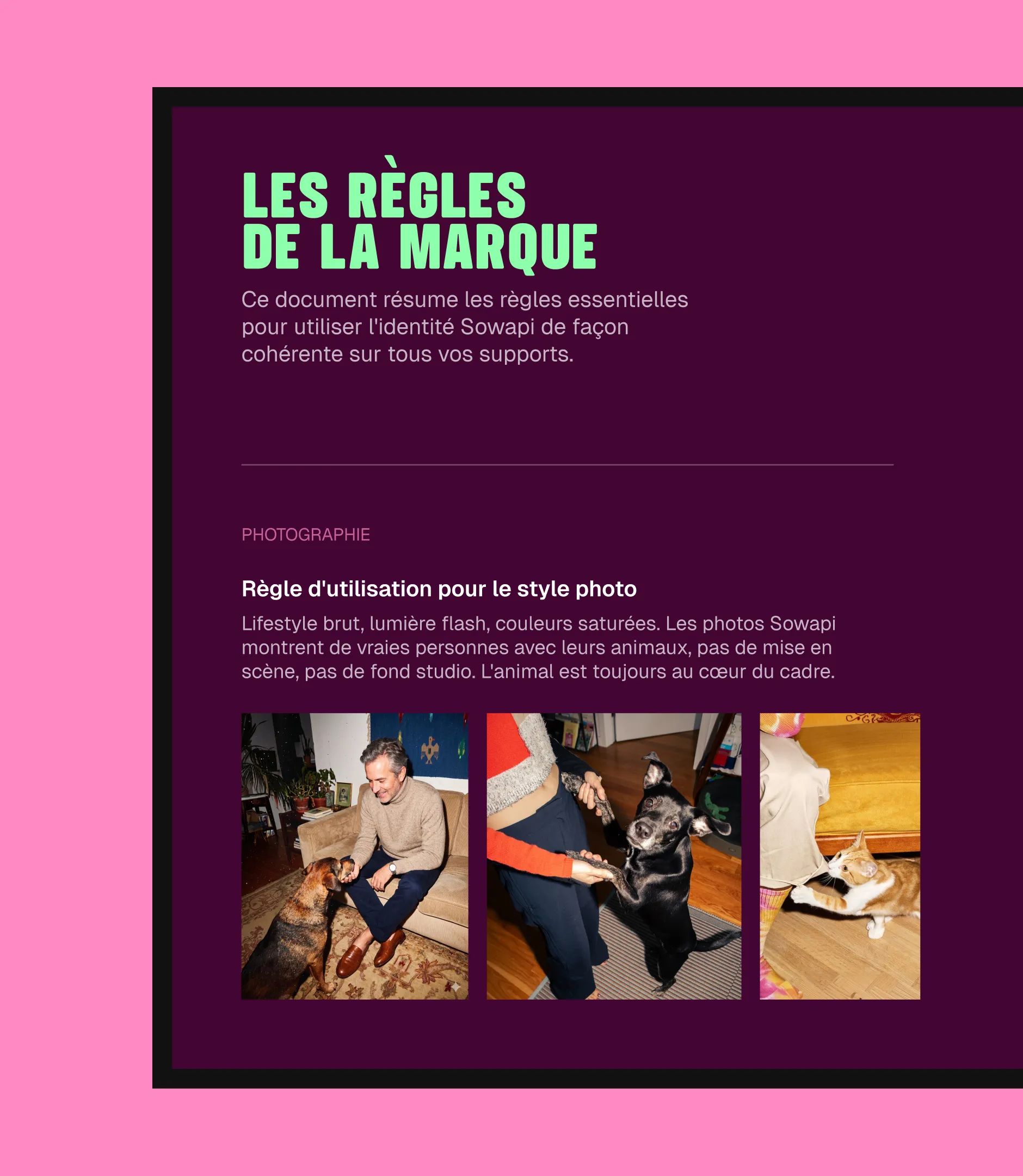 Sowapi brand guidelines page on photo style: three flash photos of people with dogs and a cat
