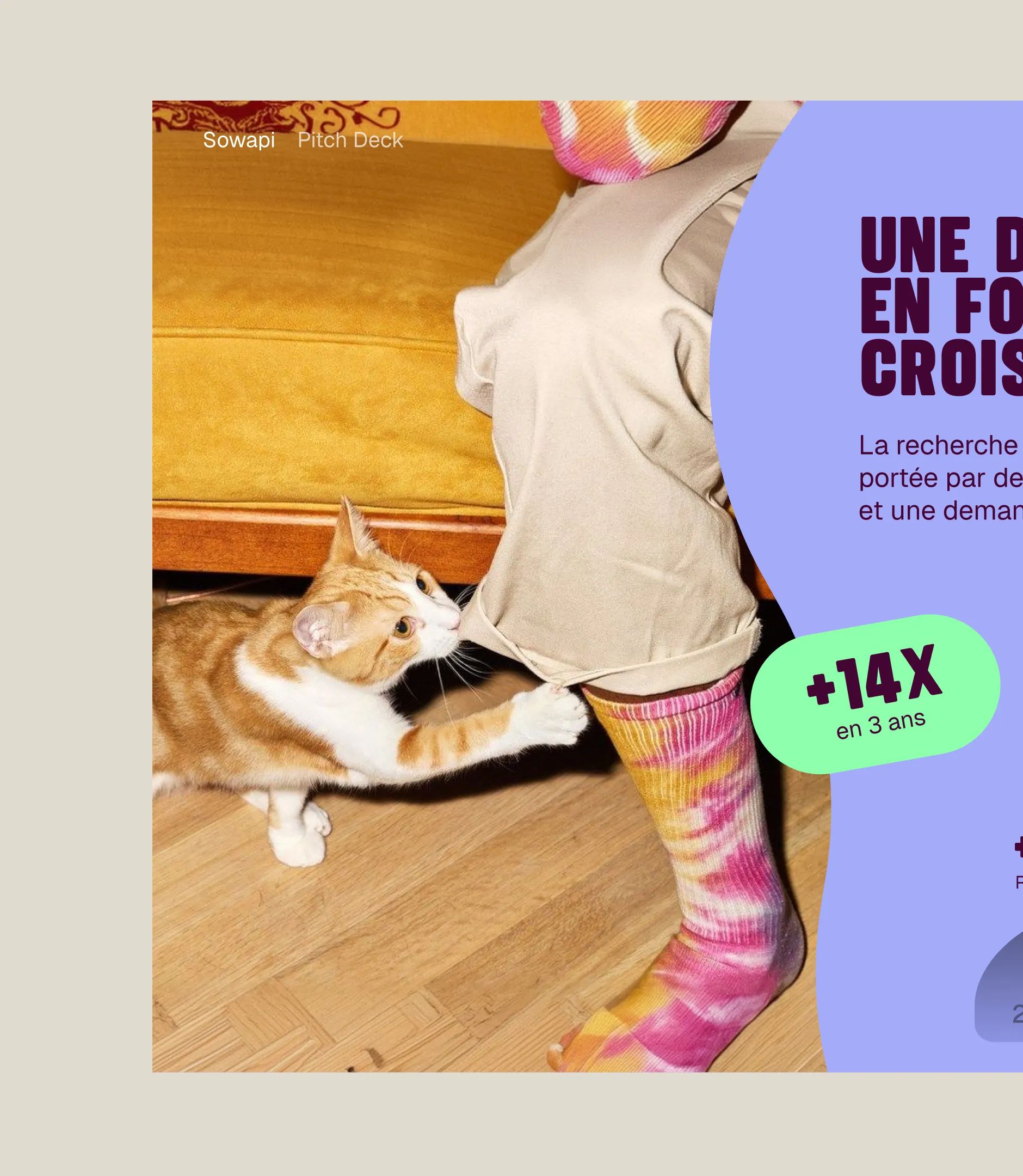 Sowapi pitch deck slide: ginger kitten playing with a person in tie-dye socks, lavender panel with "+14X in 3 years"