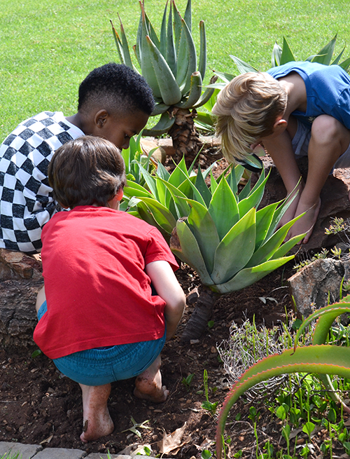 Interactive Gardens
