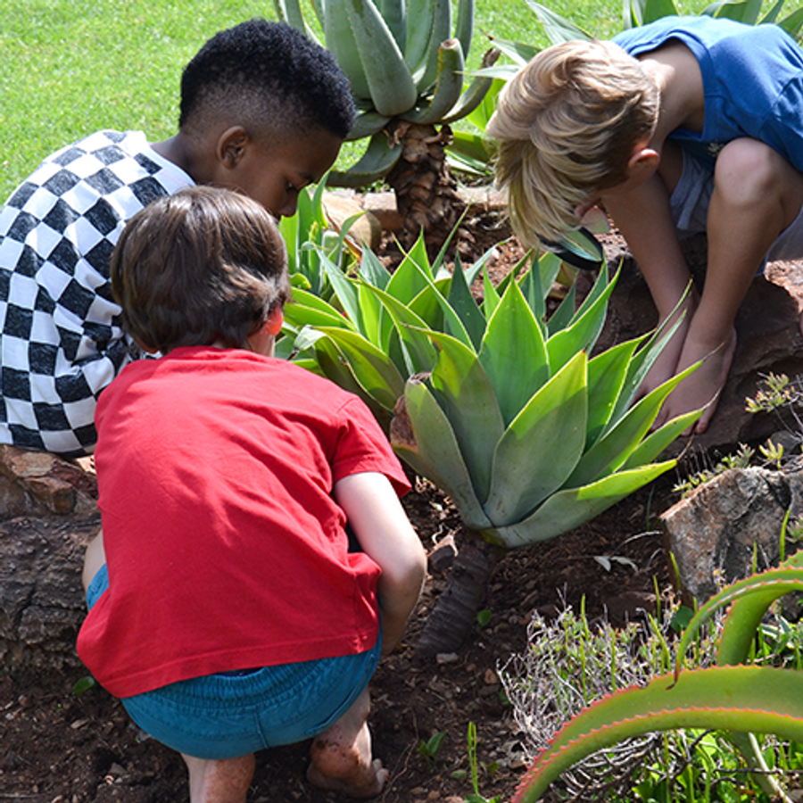 Interactive Gardens