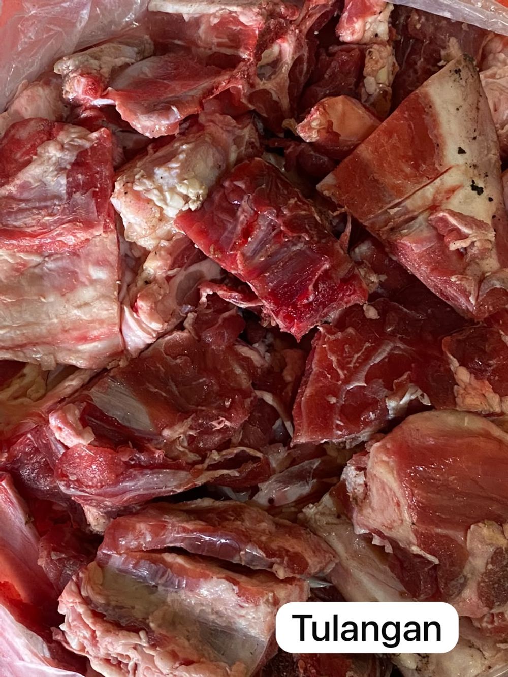 Karkas & Daging Kambing Segar