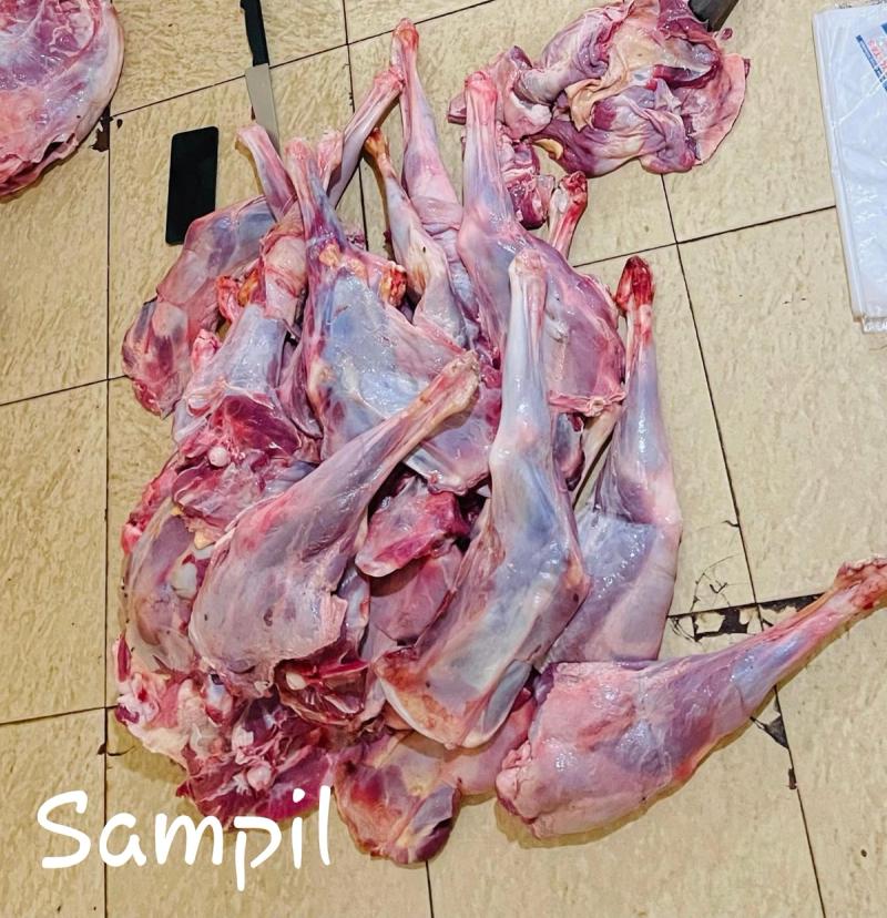 Sampil (bahu) kambing segar dengan marbling lemak, pilihan empuk untuk tongseng