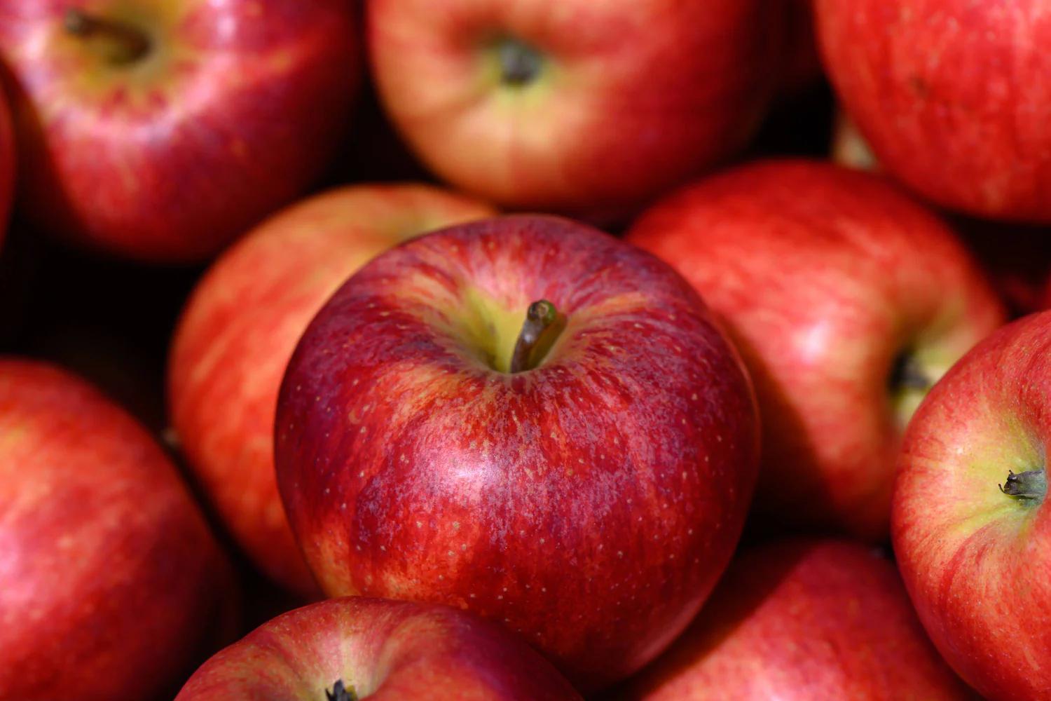 Frische Äpfel