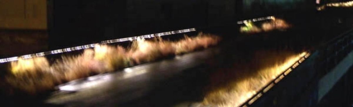 Del verd a la gentrificació