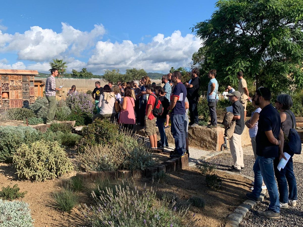 Valoración jornada APEVC