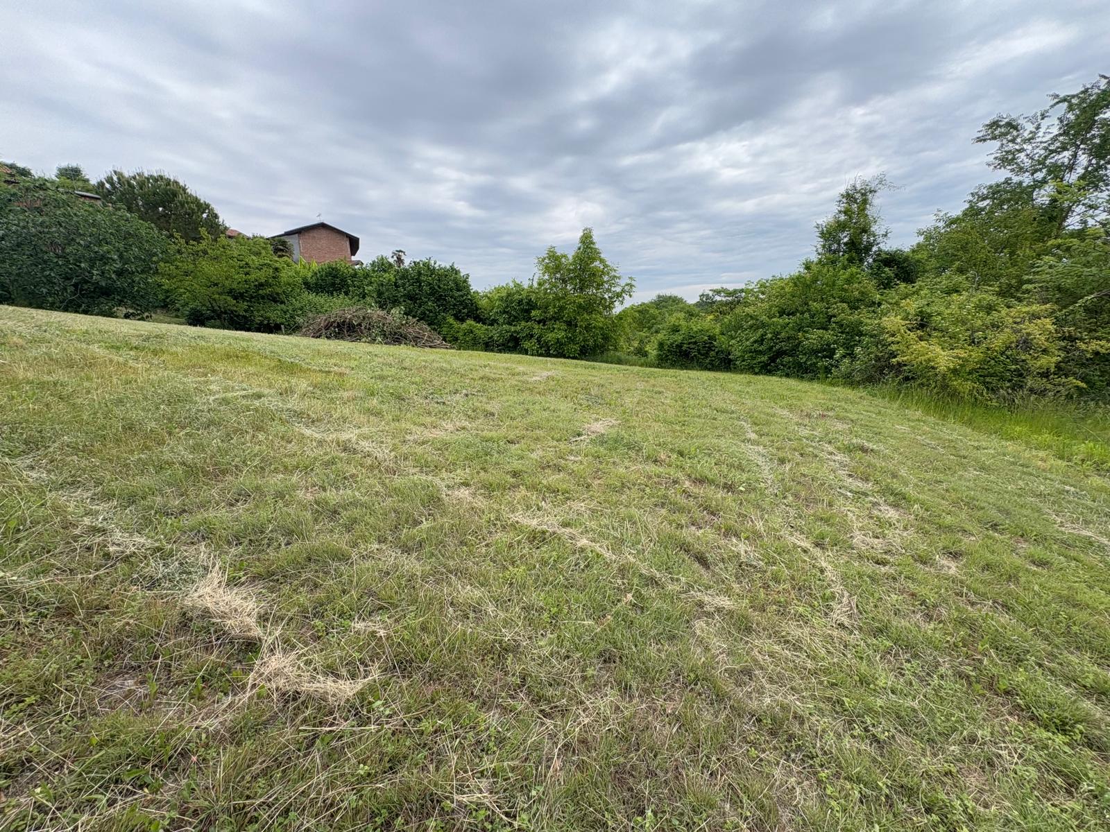 Ottimo investimento: proprietà con terreno mq. 10.000 – foto 4