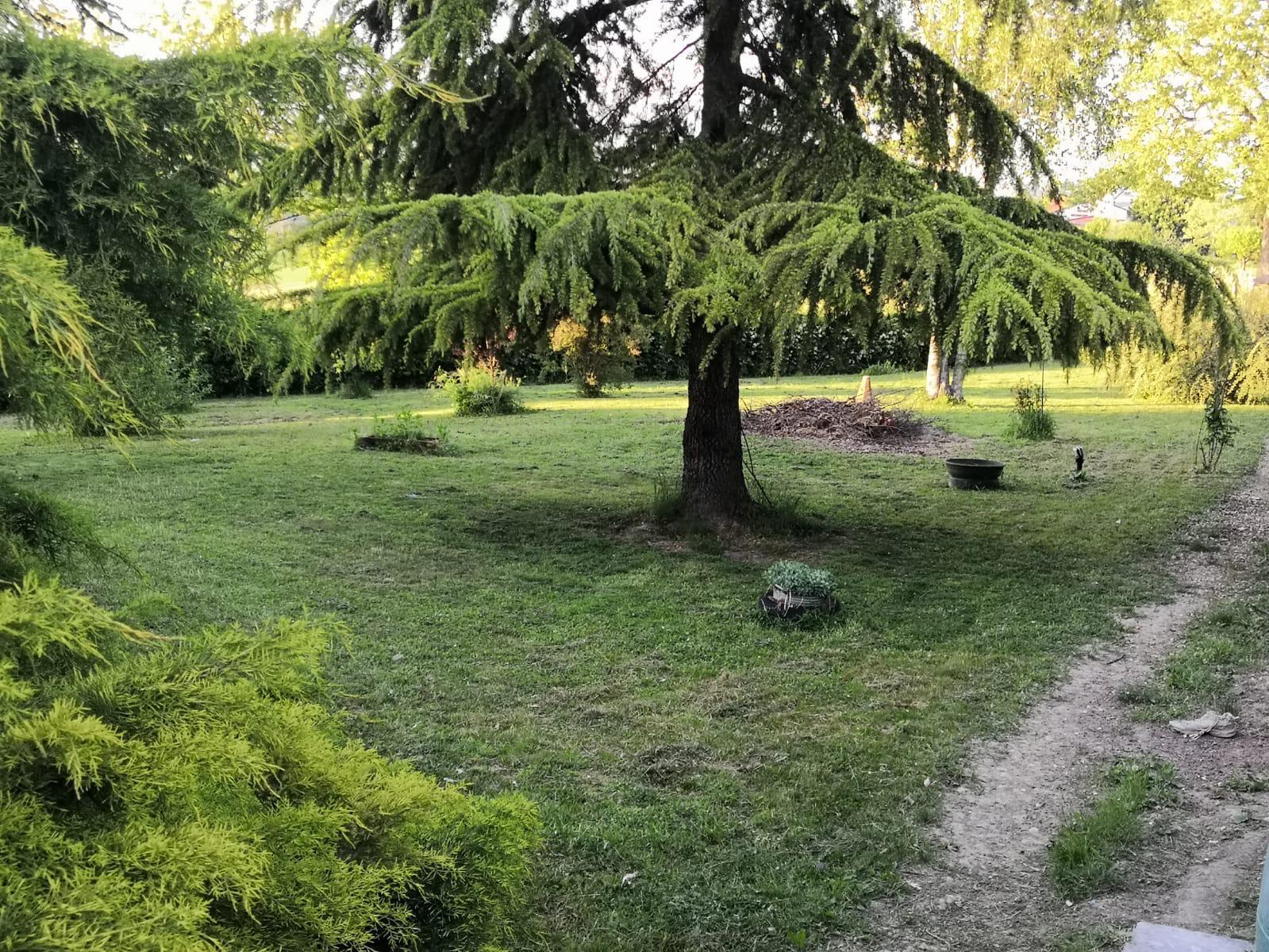 Villa bifamiliare libera su 4 lati con terreno – foto 2