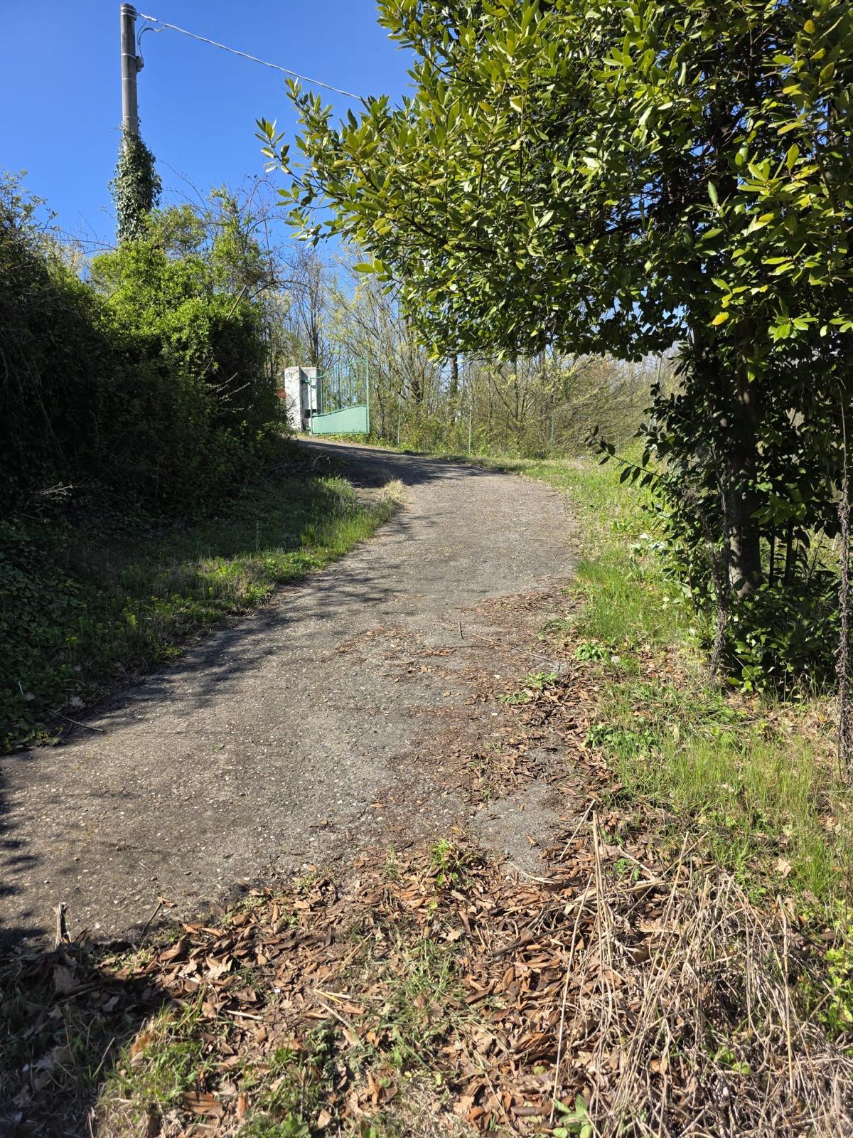Villa bifamiliare immersa nella natura a Lu Monferrato – foto 4