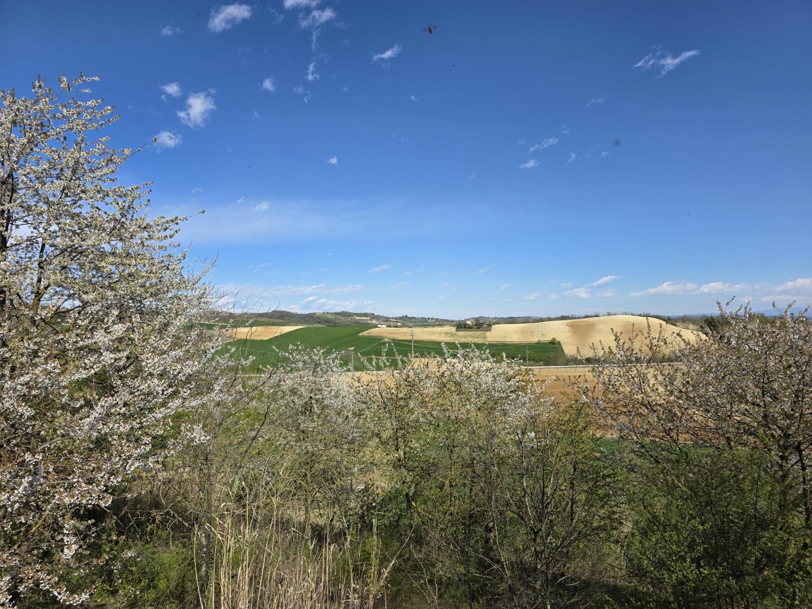 Villa bifamiliare immersa nella natura a Lu Monferrato – foto 2