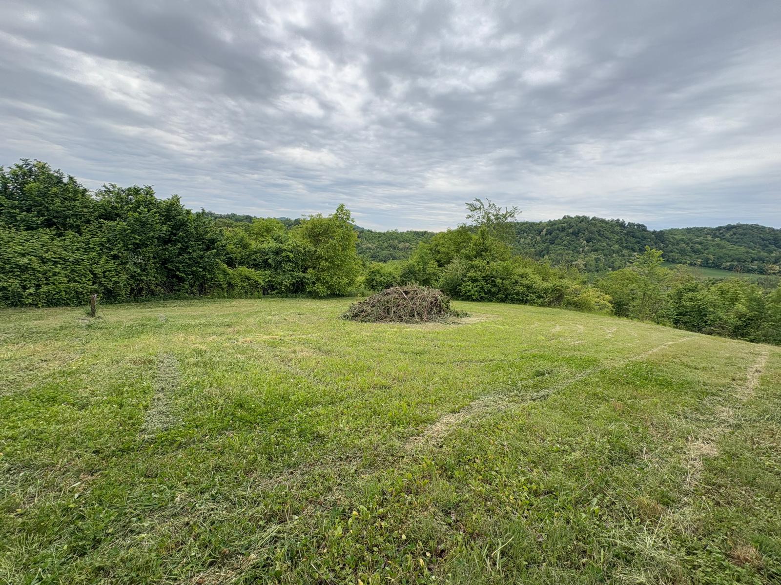 Ottimo investimento: proprietà con terreno mq. 10.000 – foto 2