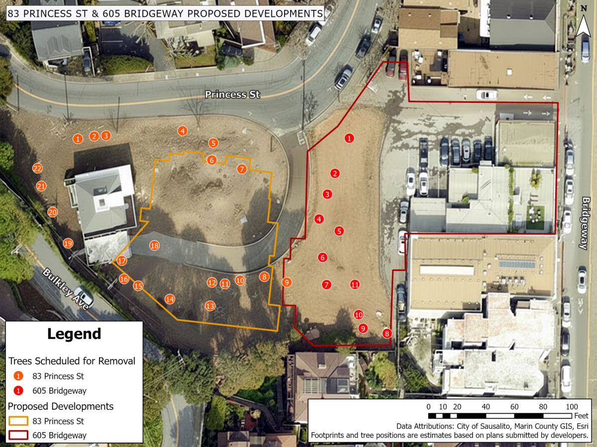 Map of the 33 mature trees scheduled for removal at 605 Bridgeway and 83 Princess Street.