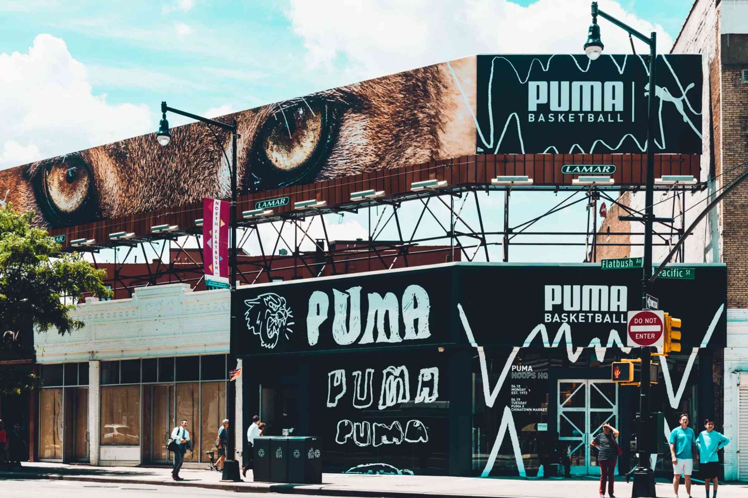 Puma Basketball- Draft Pop up