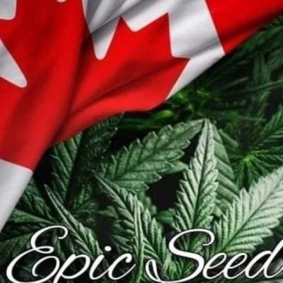 Epic Seeds
