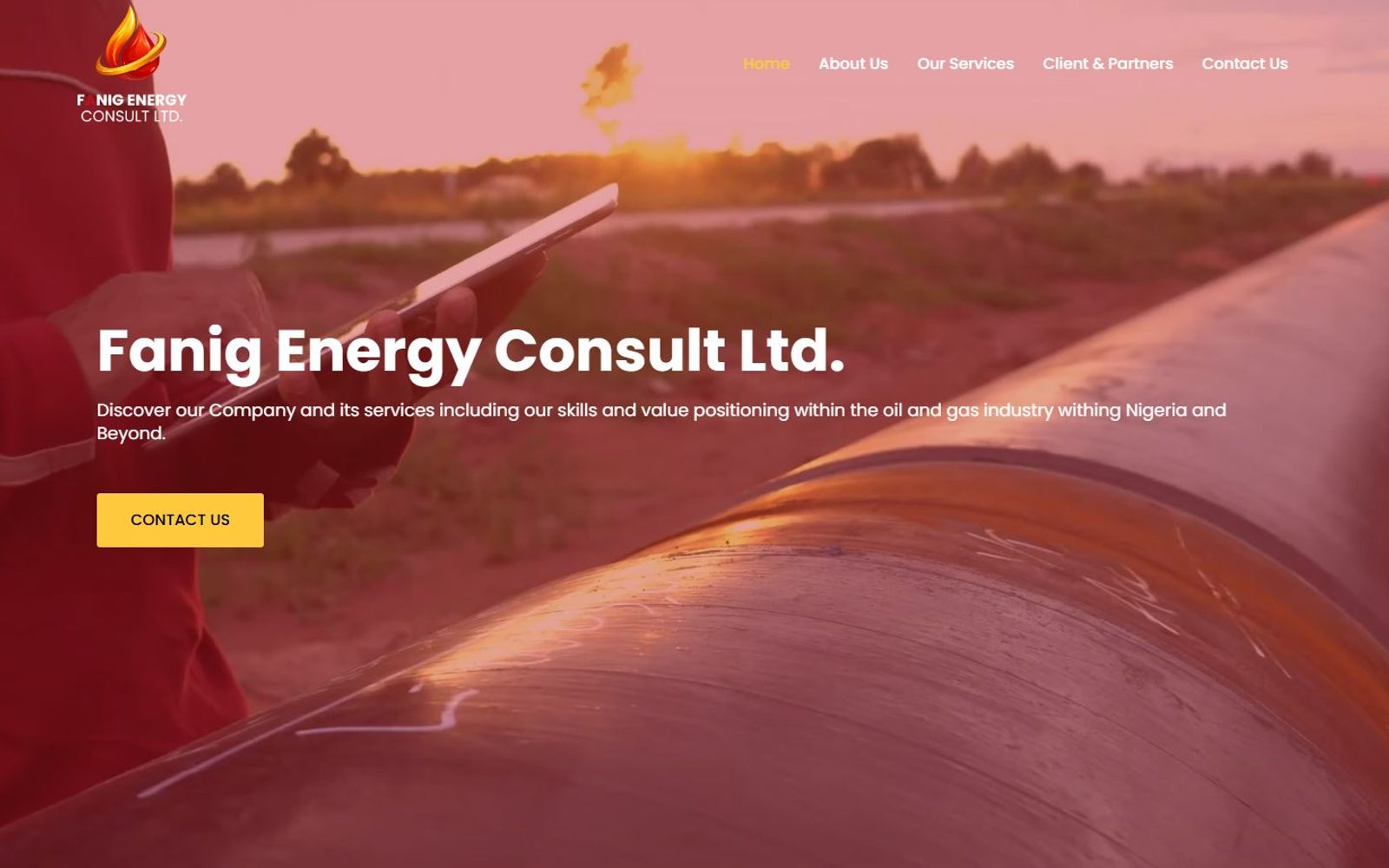 Fanig Energy Consult website: homepage, desktop