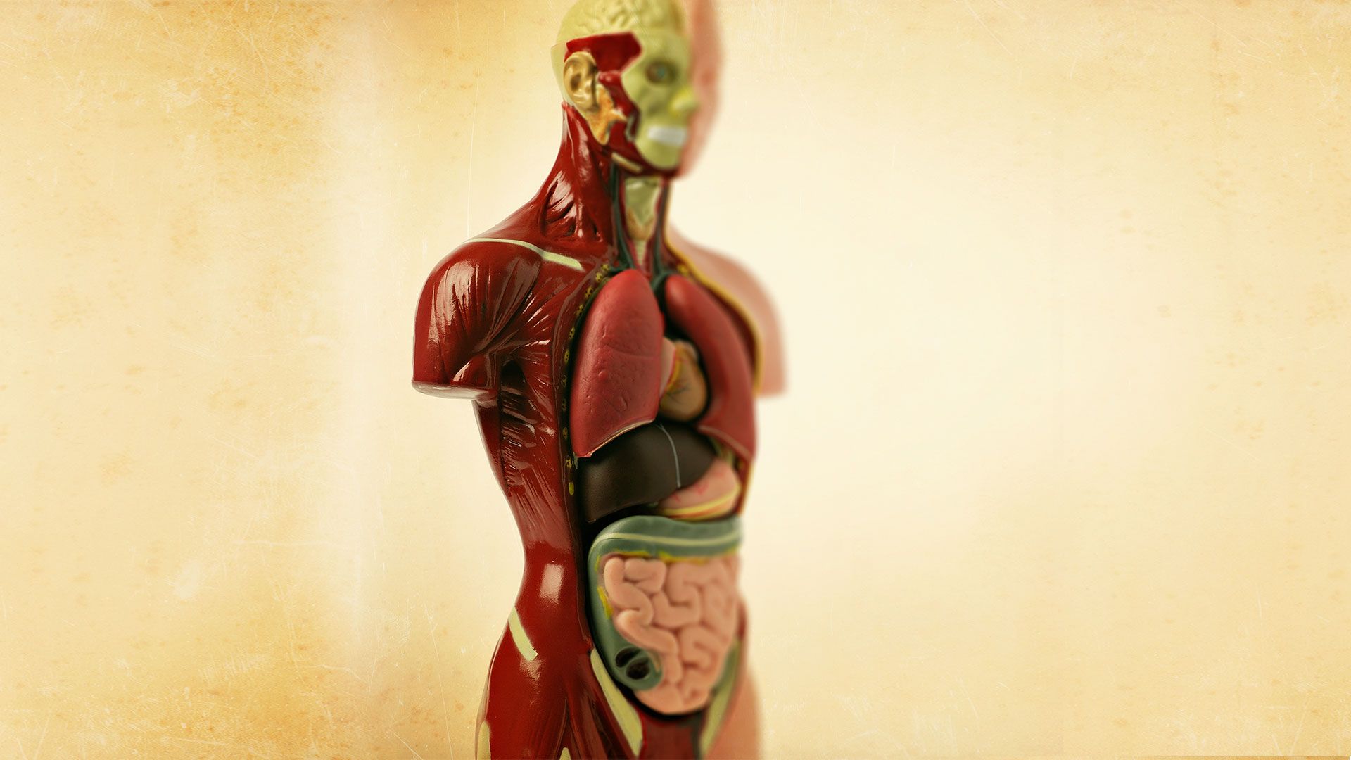 Promotional image for Можно ли быть донором органов?
