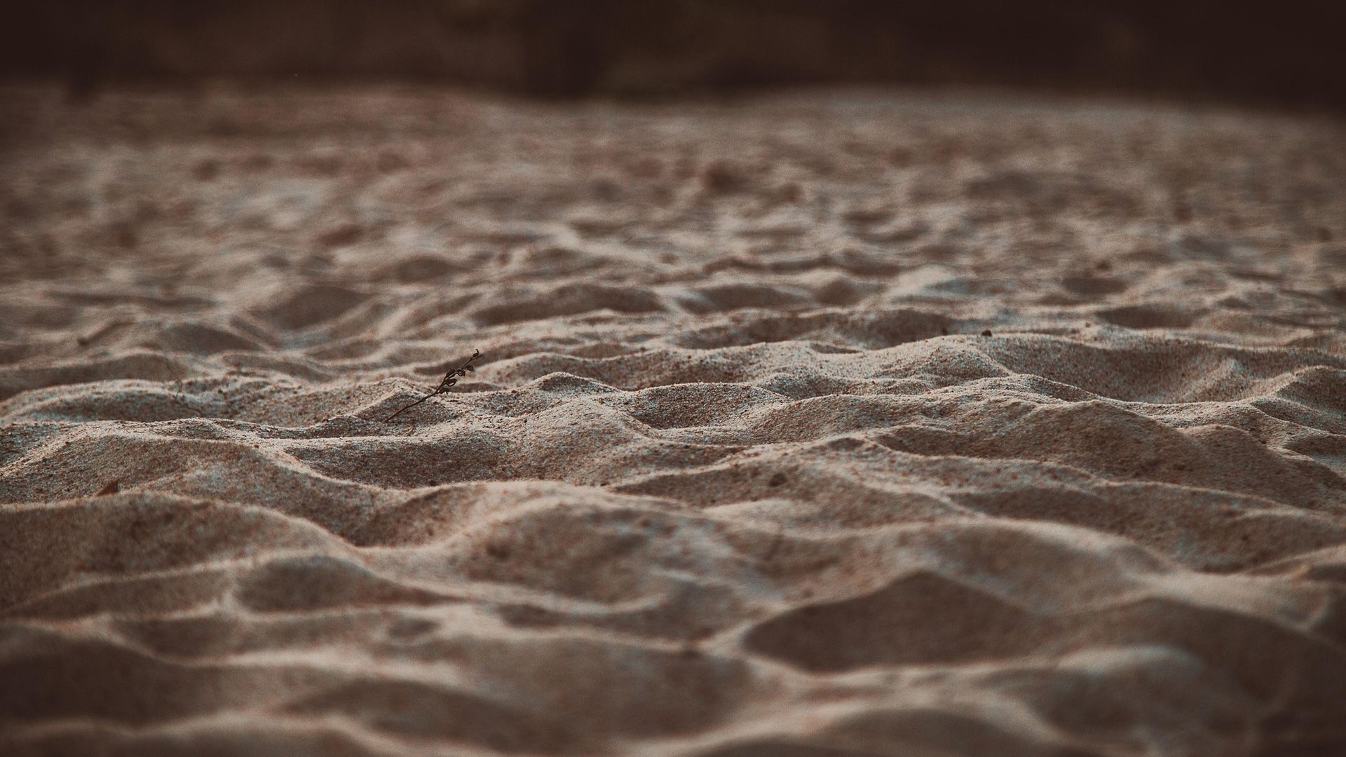 Promotional image for Что значит «...Петр смертью прославит Бога…»?