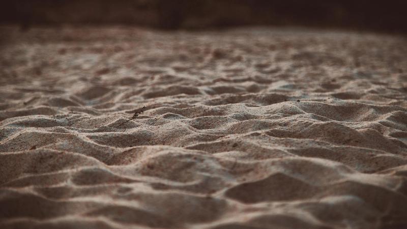 Что значит «...Петр смертью прославит Бо