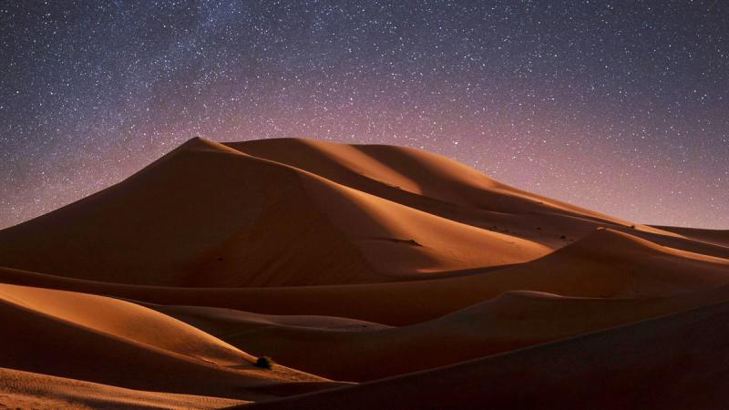 Мессия, ставший учеником. Реальность воплощения Сына