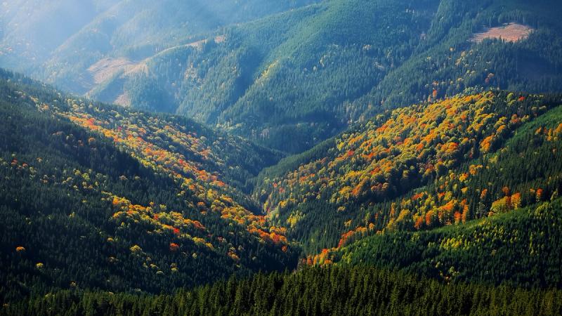 Величие Божией милости