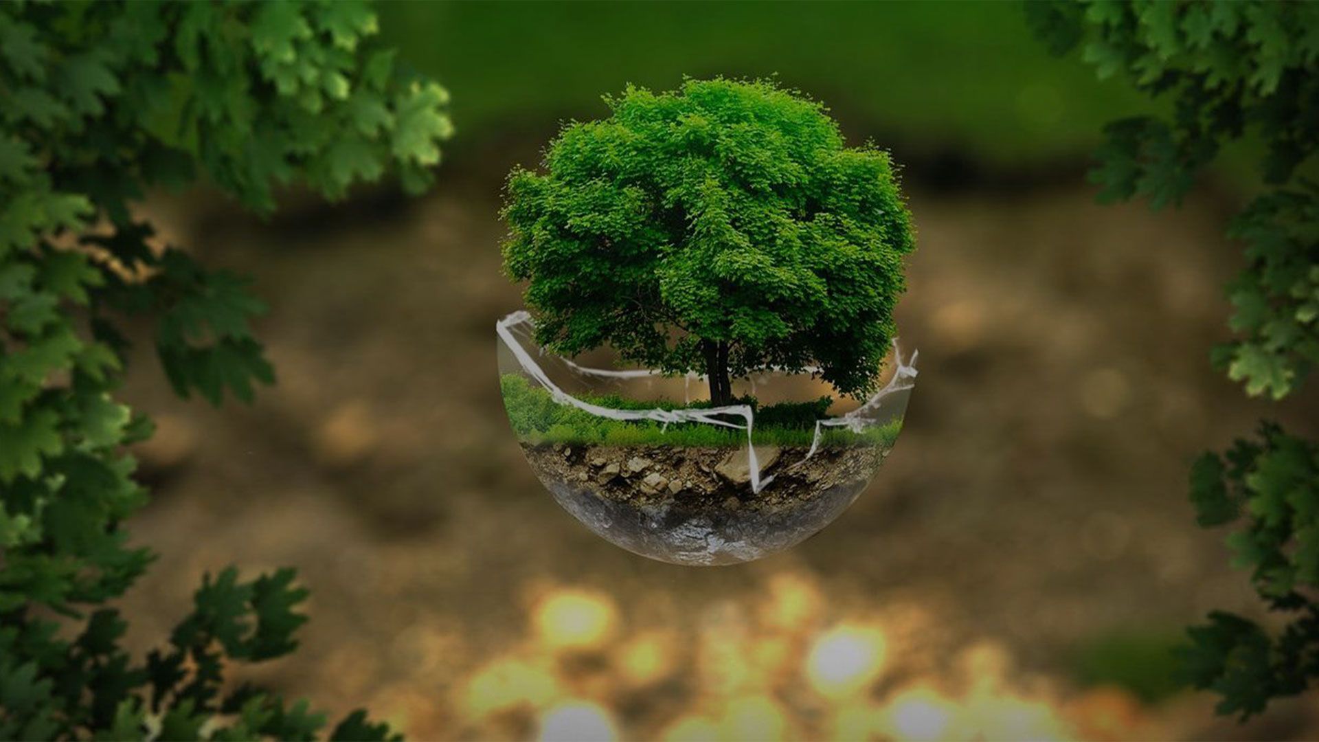 Promotional image for Зачем Бог создал дерево жизни?