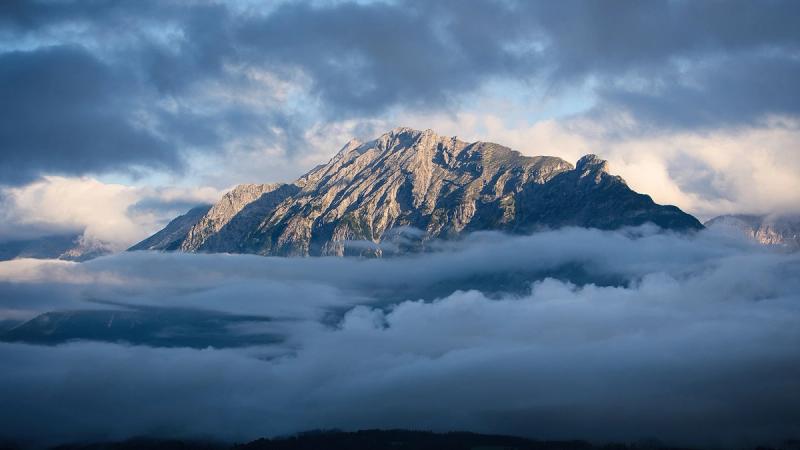 Нужда в милости