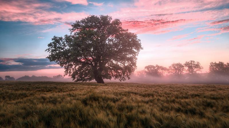 Слава в ожидании славы