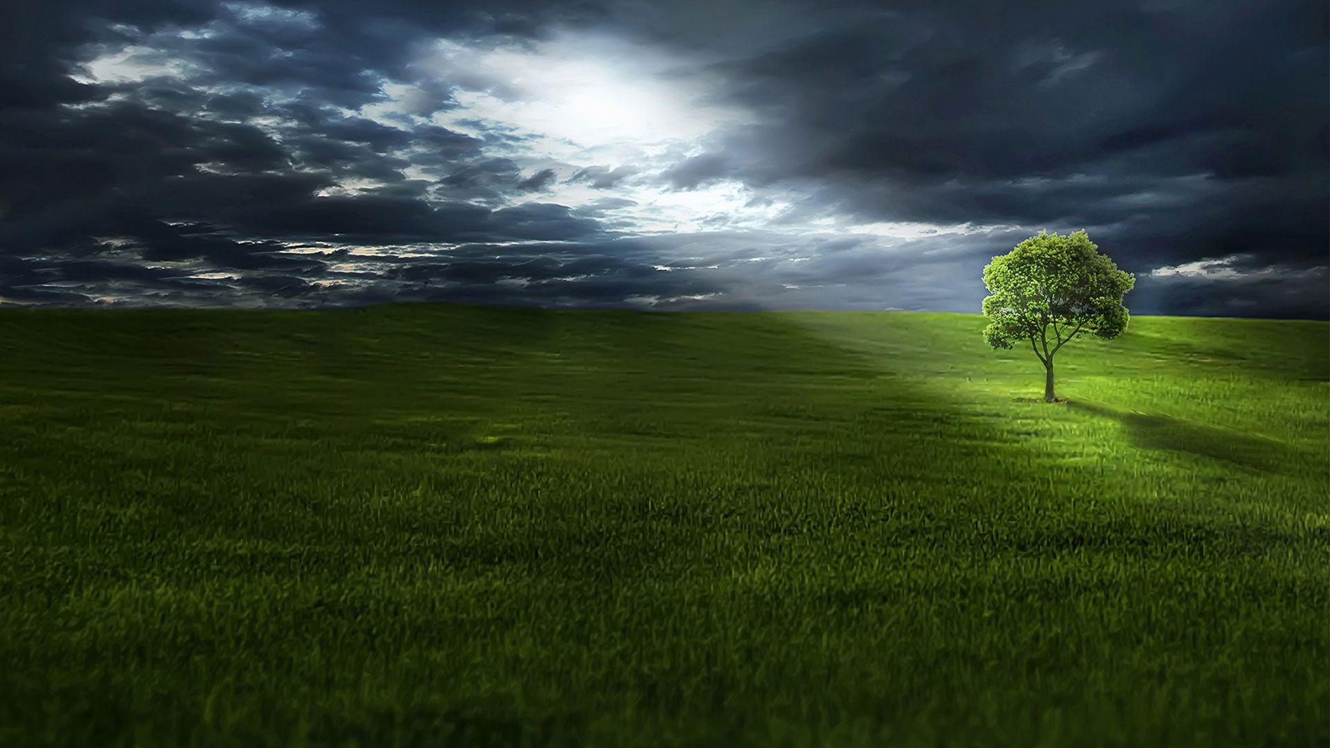 Promotional image for Зачем Бог сотворил дерево познания добра и зла?