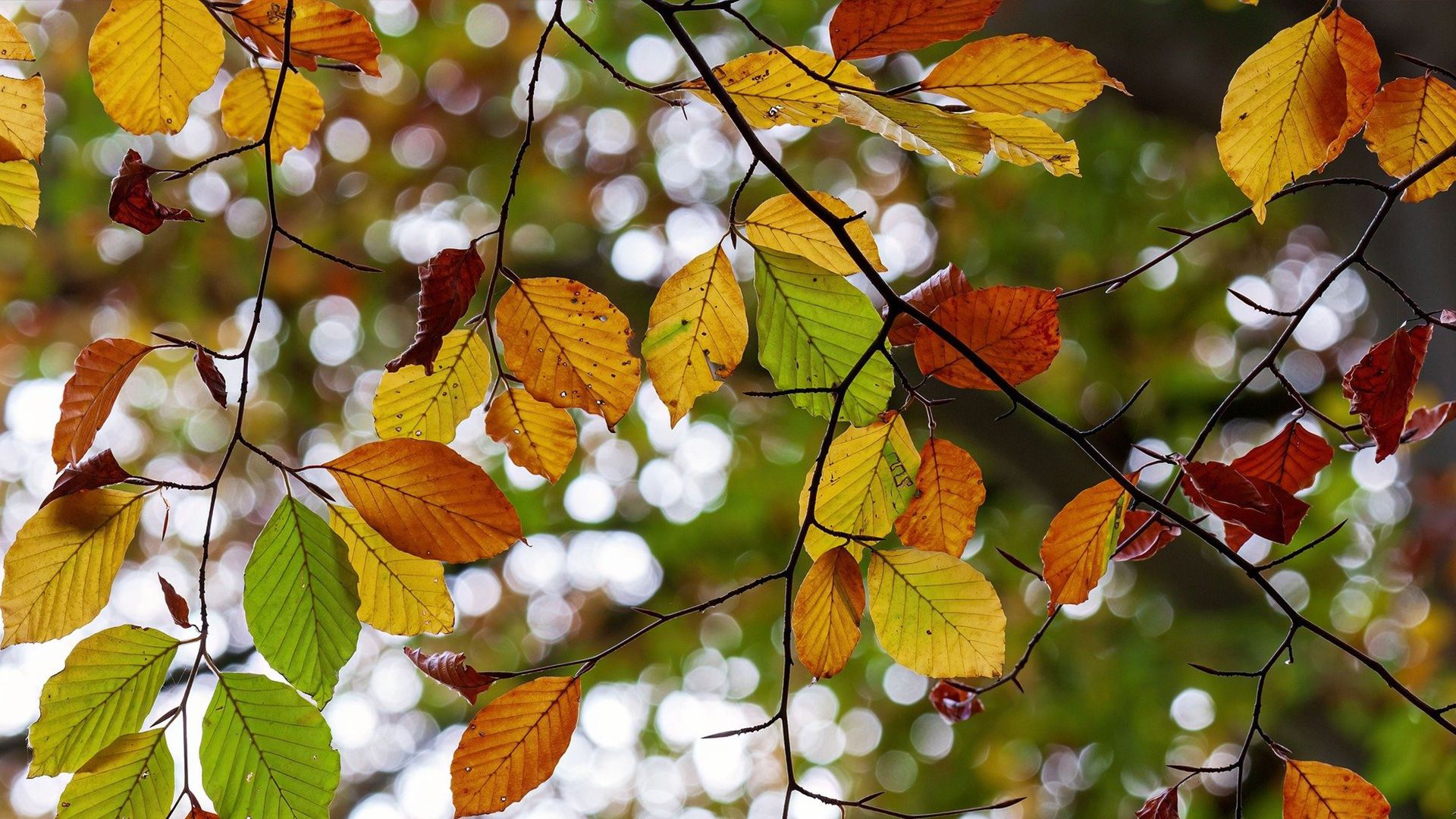 Promotional image for Что значит «Бог есть любовь»?