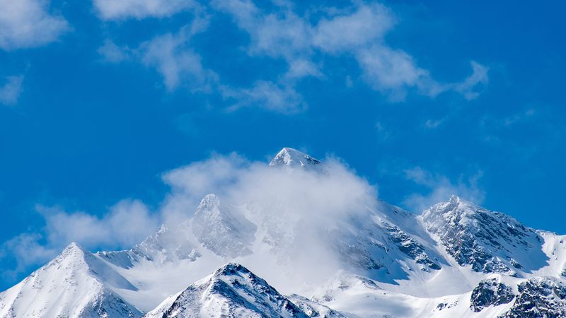 Блаженны чистые сердцем