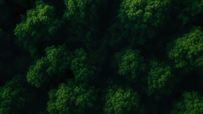 Сила Святого Духа