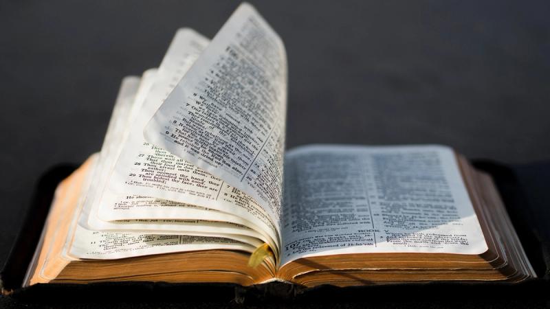 Библия и ее соперники