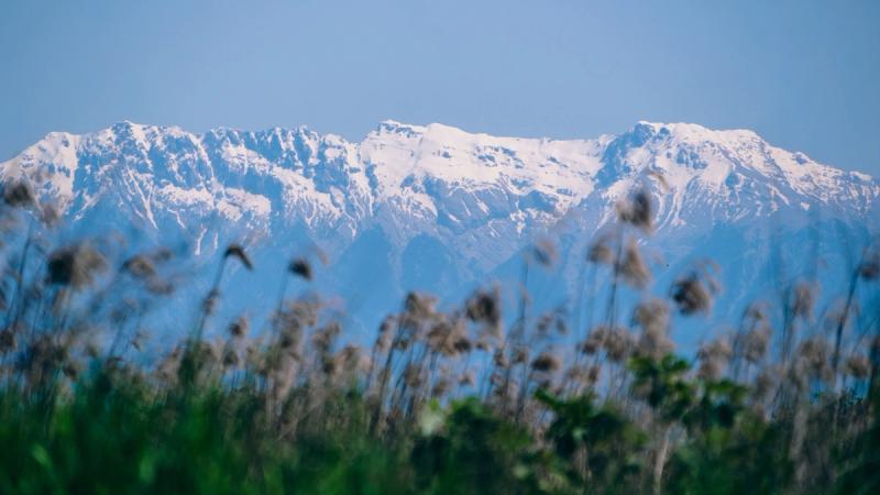 Библия и смысл жизни