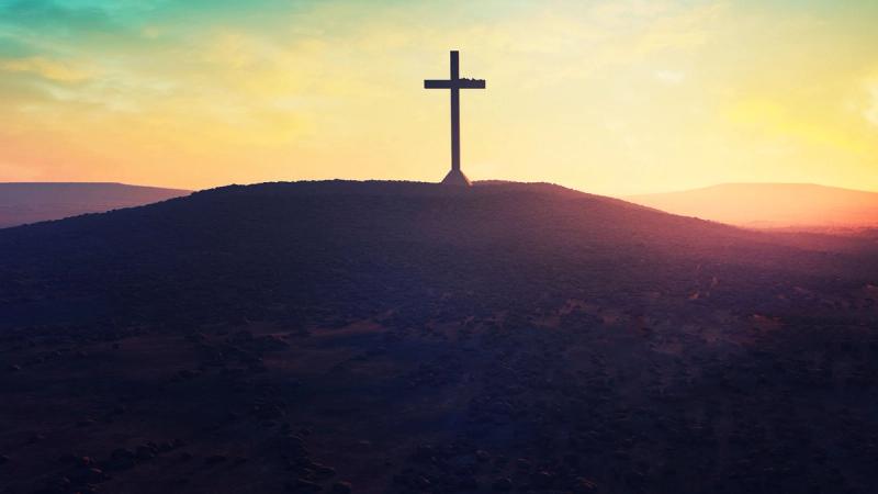 Почему любящий Бо