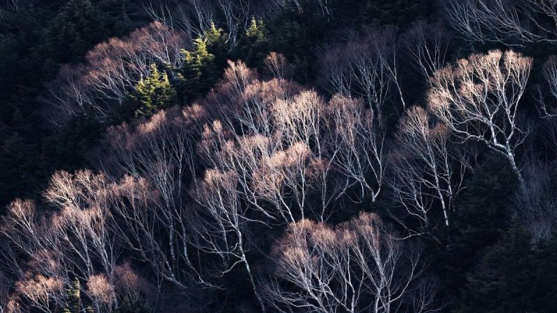 Тяжесть неисповеда