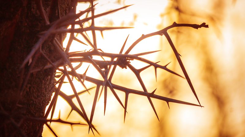 Что значит «...ранами Его