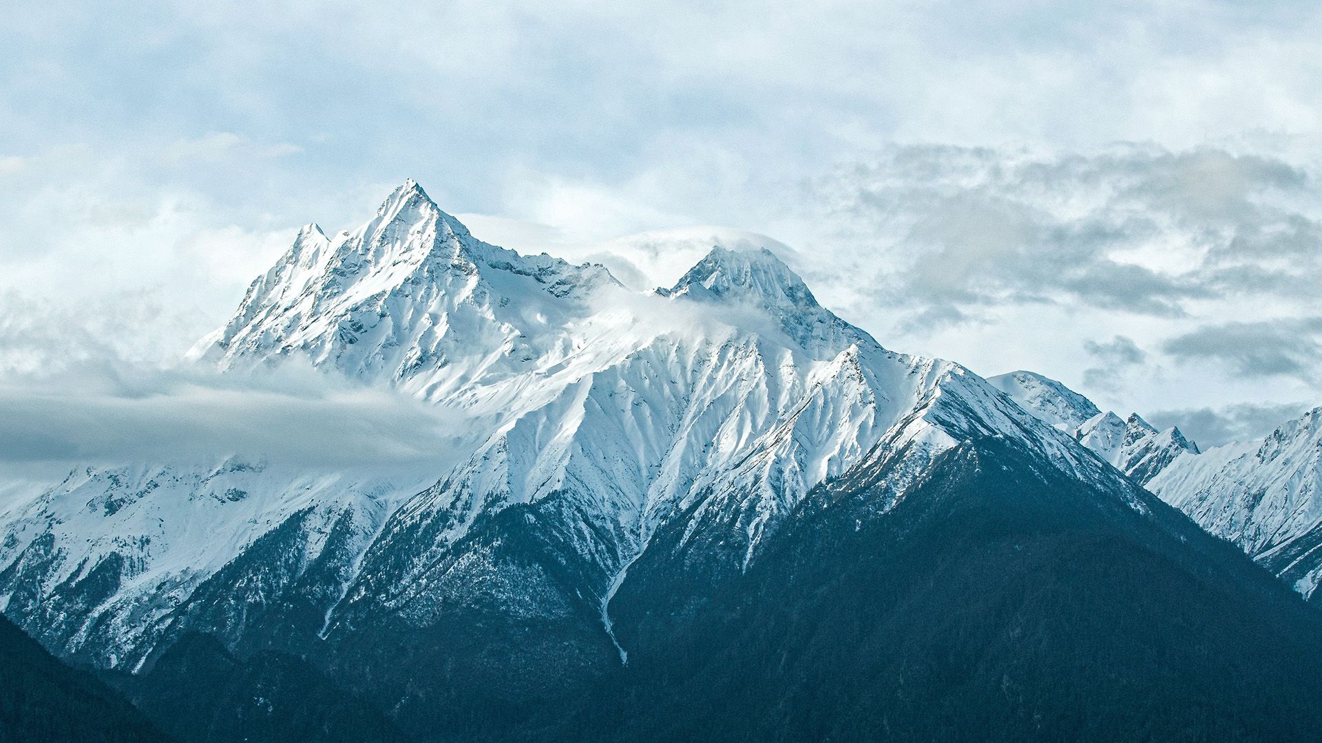 Promotional image for Самое выгодное вложение