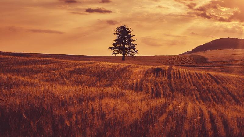 Маленькие лю