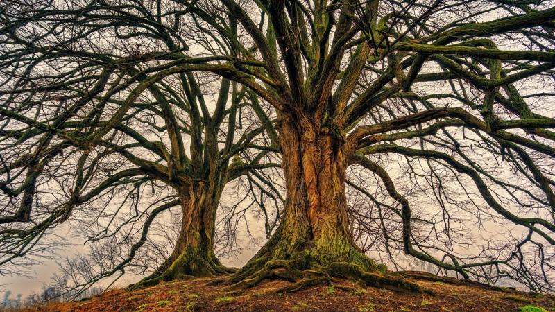 Может ли христианин отказаться от Христа?