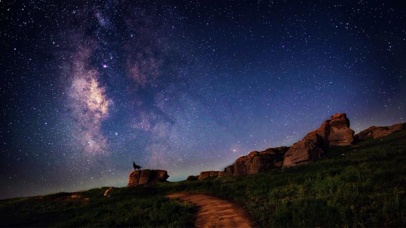 Кто такие «волки в