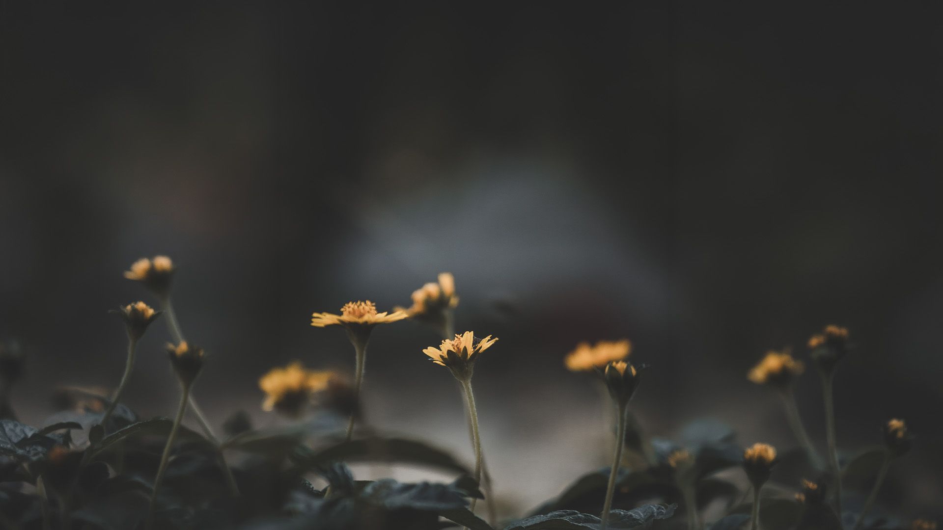 Promotional image for Берегитесь греховных забот